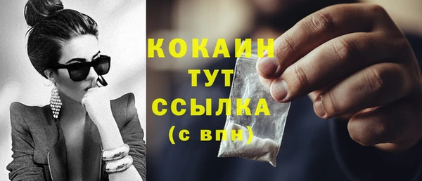 дурь Осташков