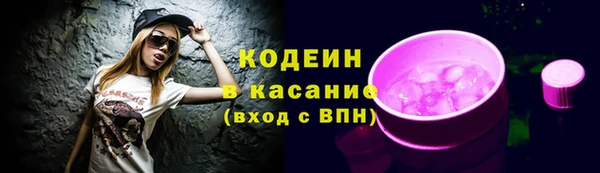 дурь Осташков
