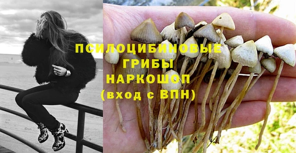 индика Остров