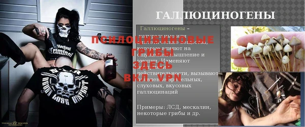 дурь Корсаков