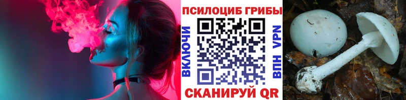 Галлюциногенные грибы ЛСД  Аша 