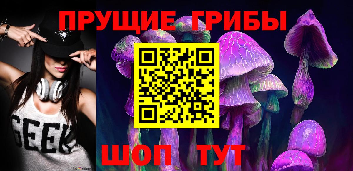 закладка  Псилоцибиновые грибы GOLDEN TEACHER  Псилоцибиновые грибы прущие грибы  Вход с VPN  Аша 